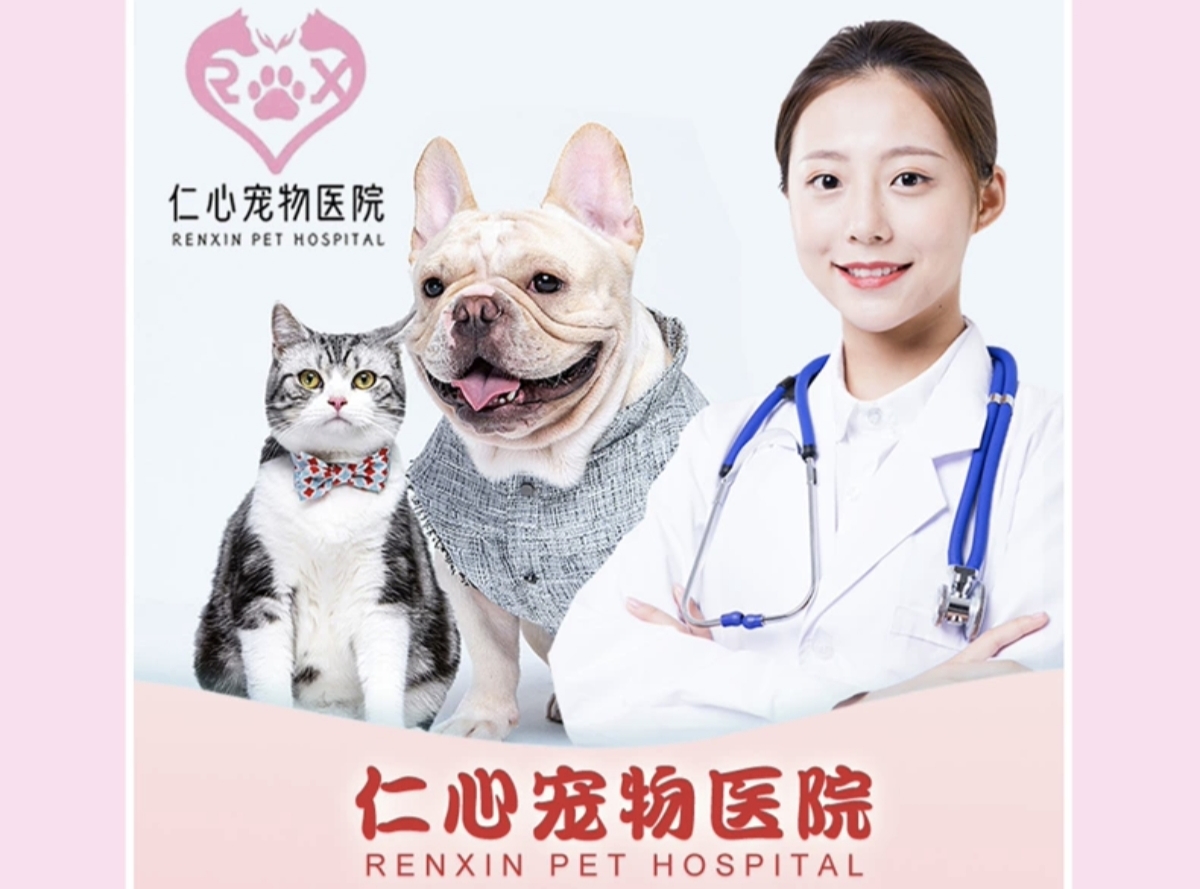 仁心盐城线上分站